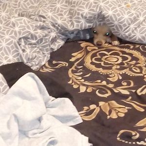 Meet your Posher, Marcus